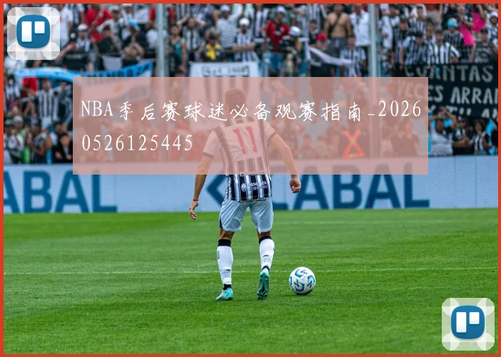 NBA季后赛球迷必备观赛指南_20260526125445