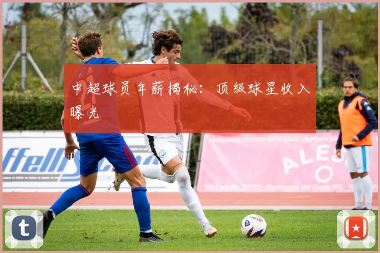 中超球员年薪揭秘：顶级球星收入曝光